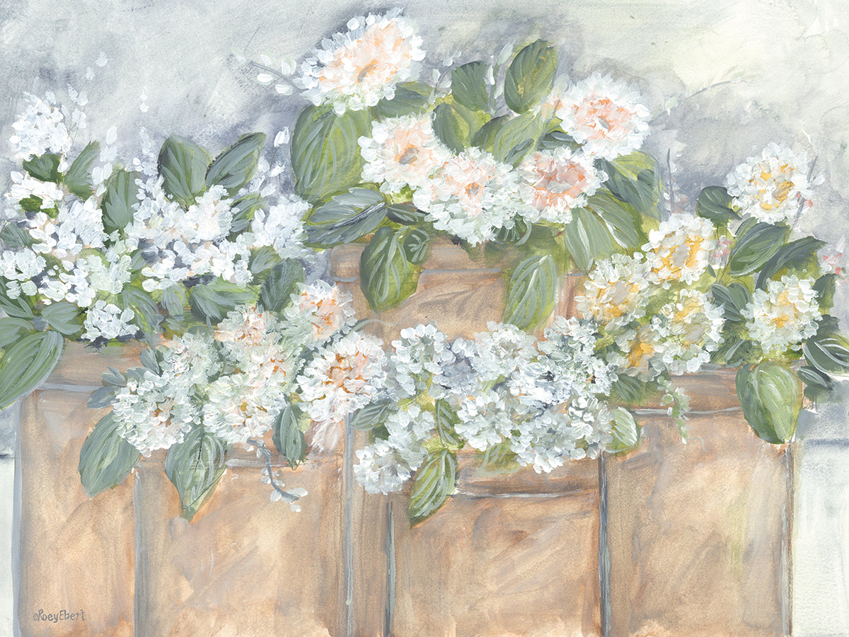 Windowsill Blooms