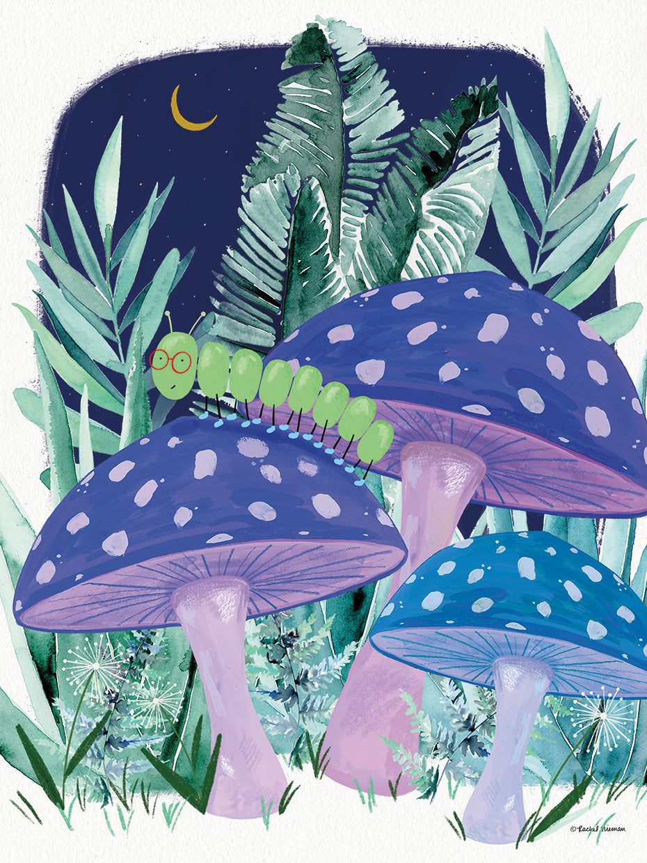 Caterpillar Adventure 1