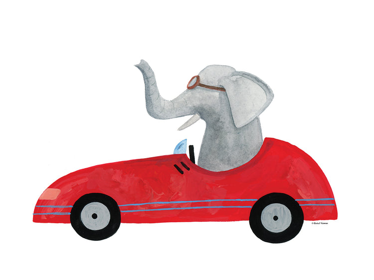 Elephant in a Car