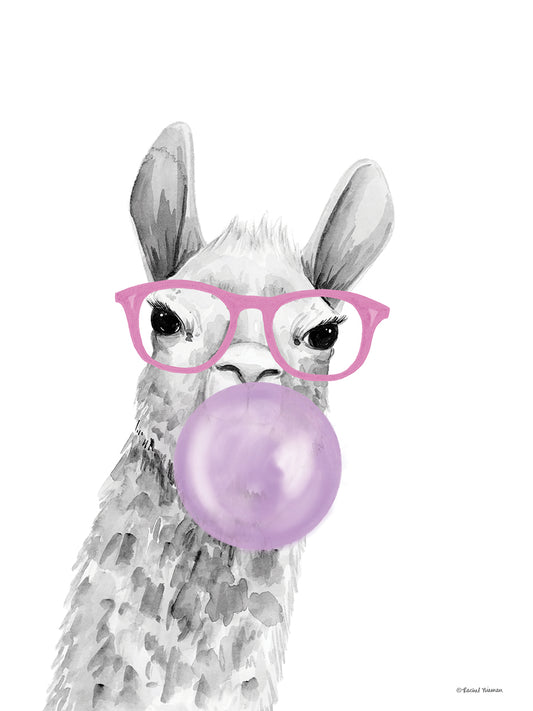Bubble Gum Alpaca