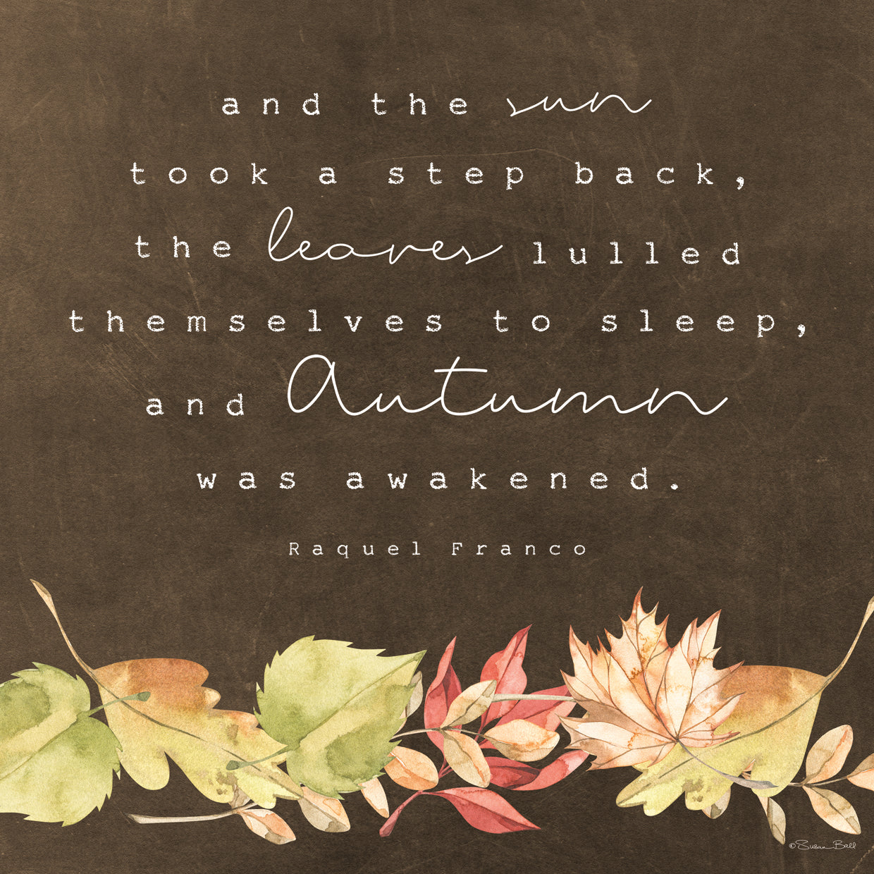 The Sun Took a Step Back