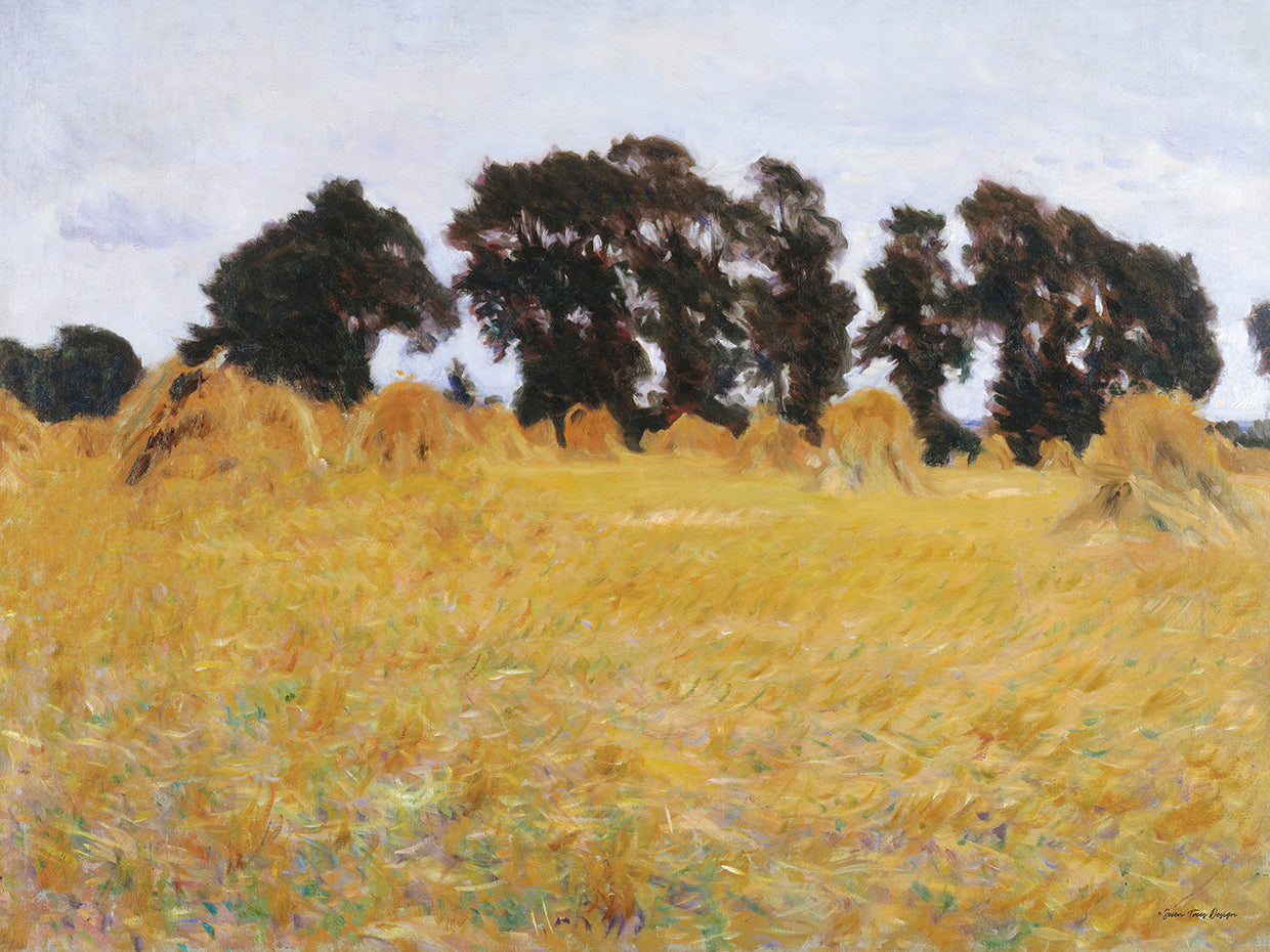 The Field