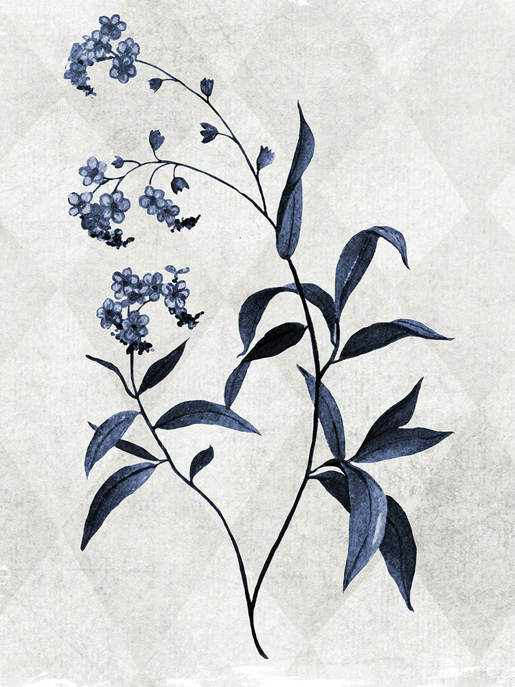 Harlequin Botanical I