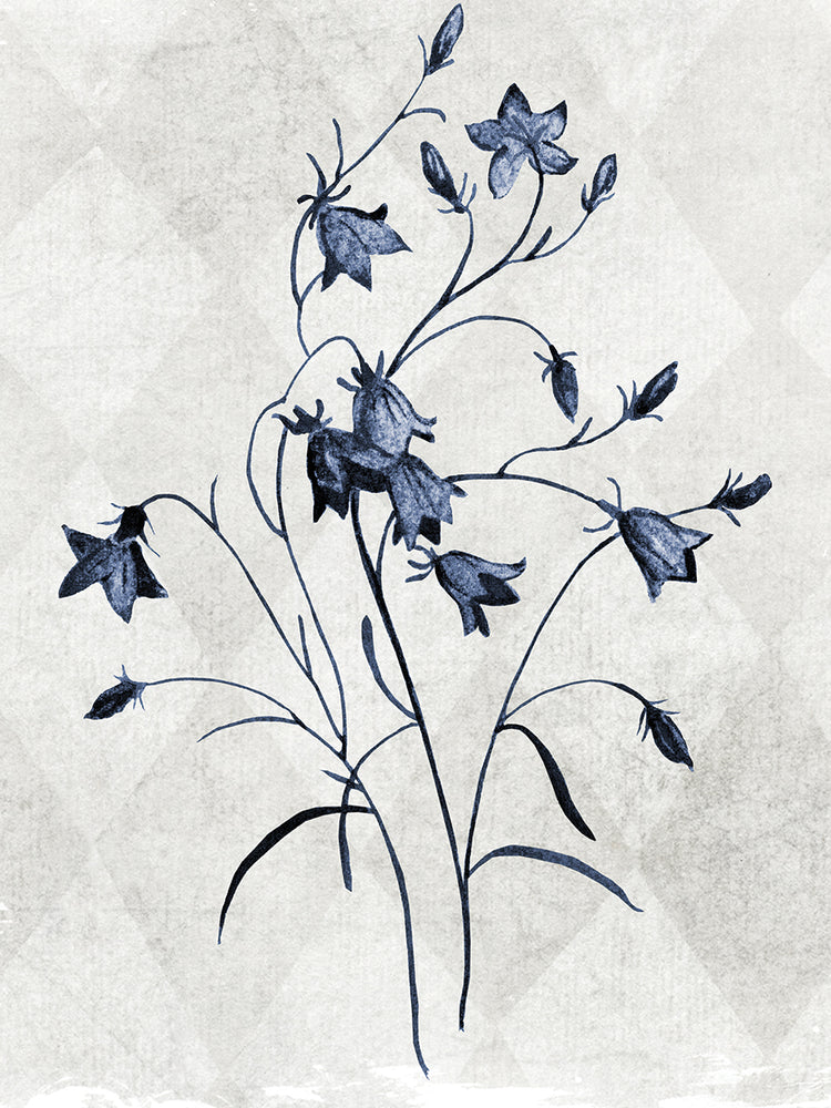 Harlequin Botanical II