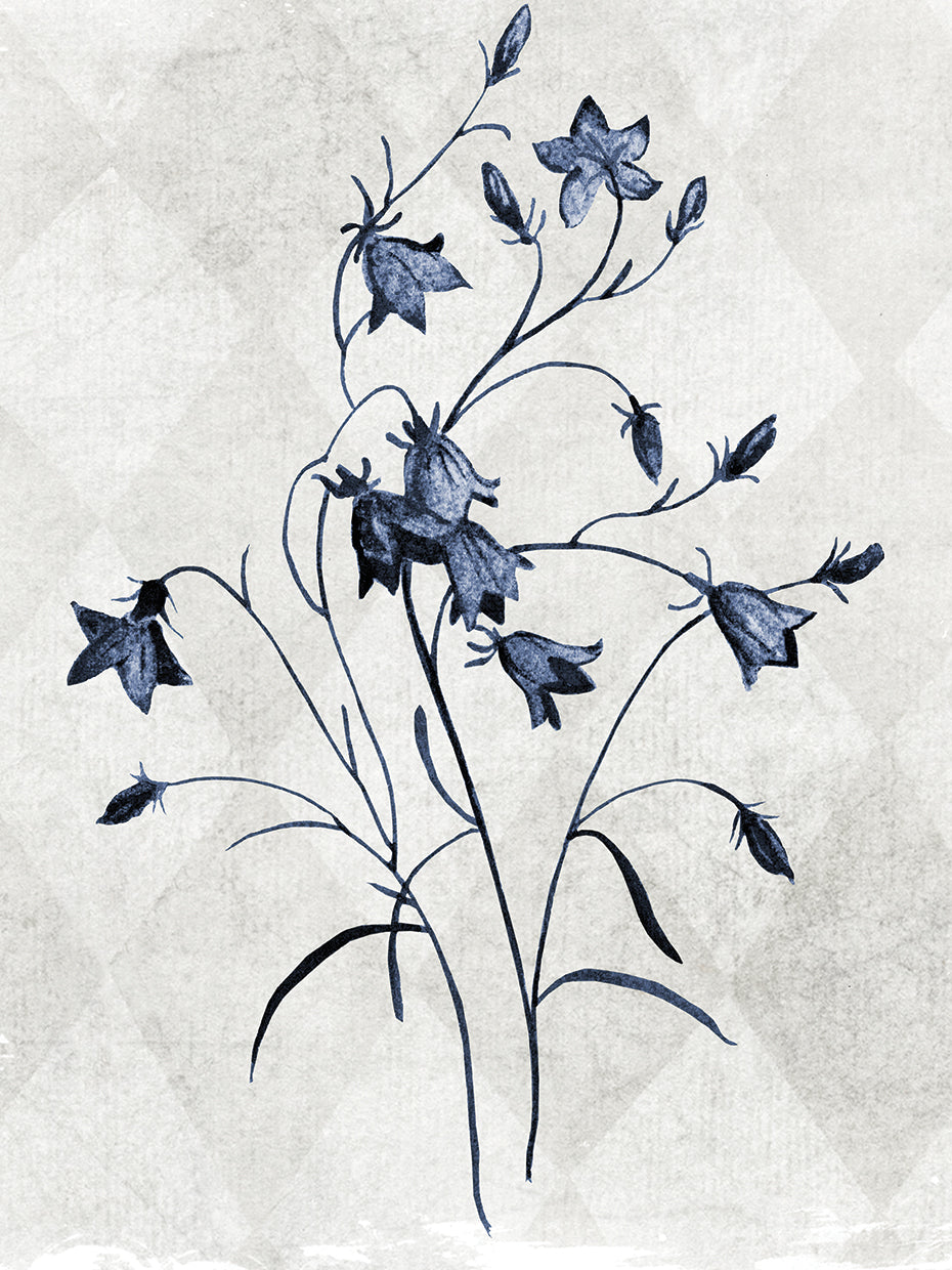 Harlequin Botanical II