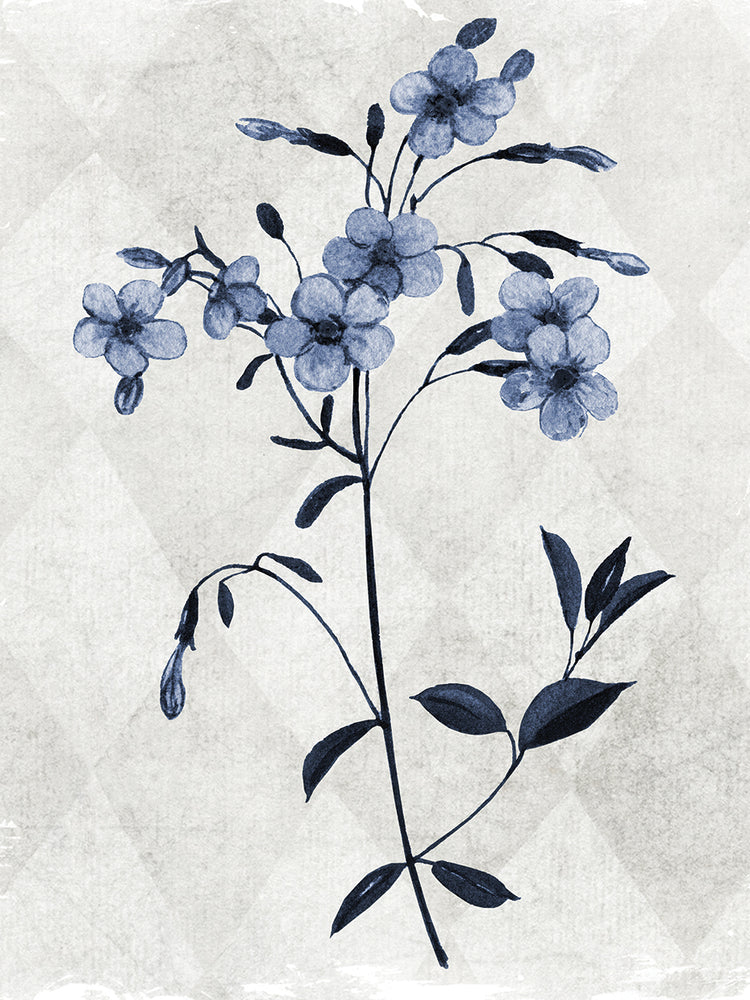 Harlequin Botanical III