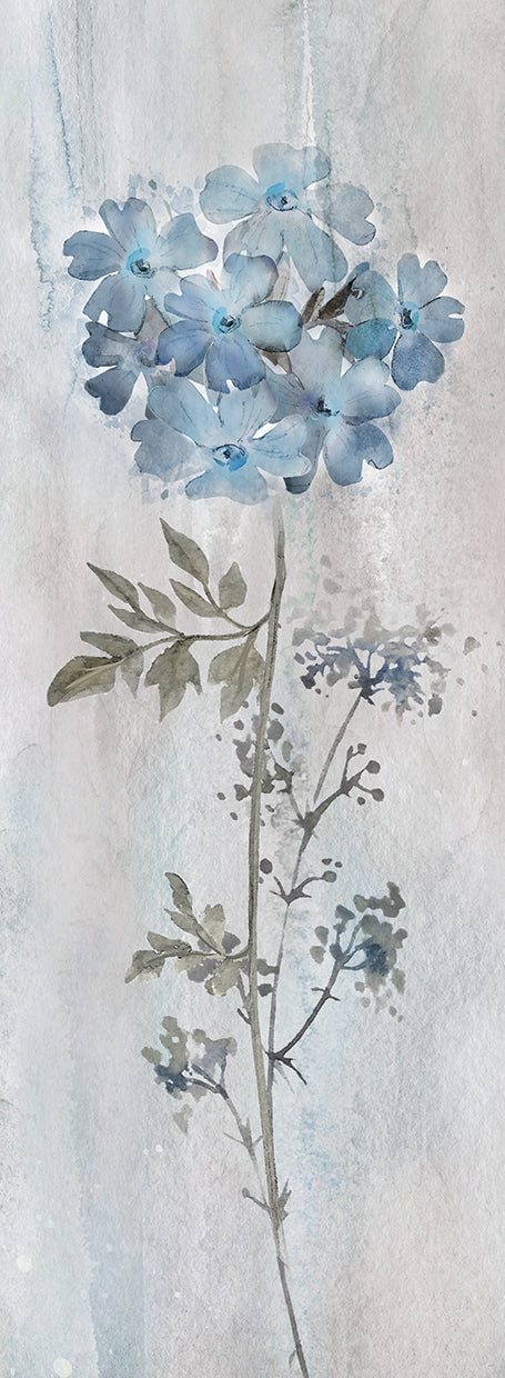 Blue Dream'in I
