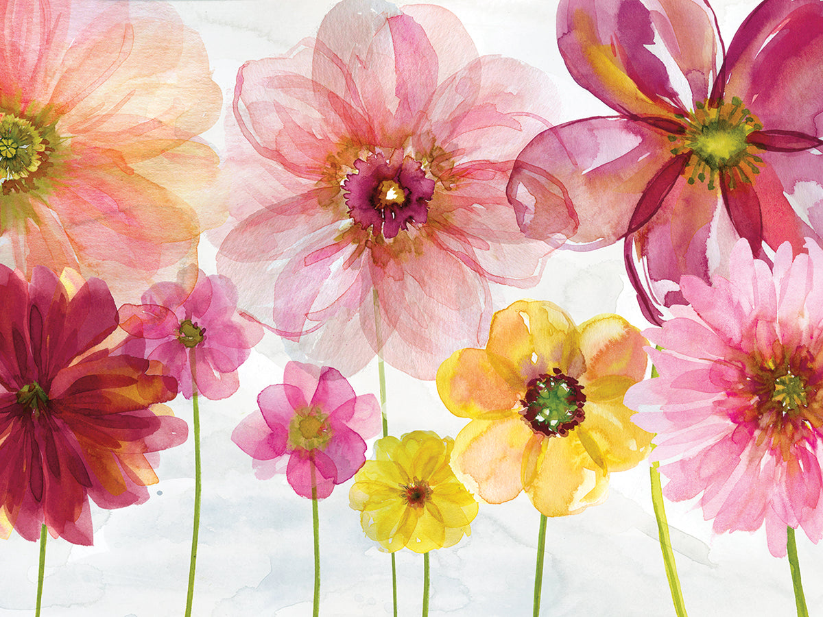 Pop Of Spring