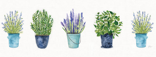 Herbs In A Row Canvas Print