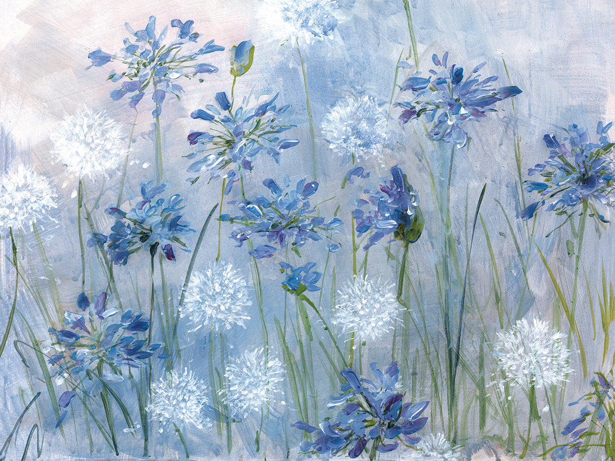 Dandelion and Agapanthus