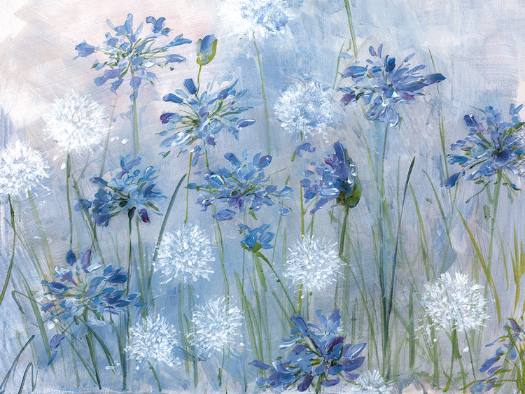 Dandelion and Agapanthus