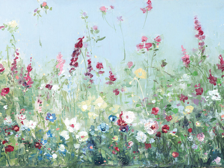 Sweet Summer Meadow