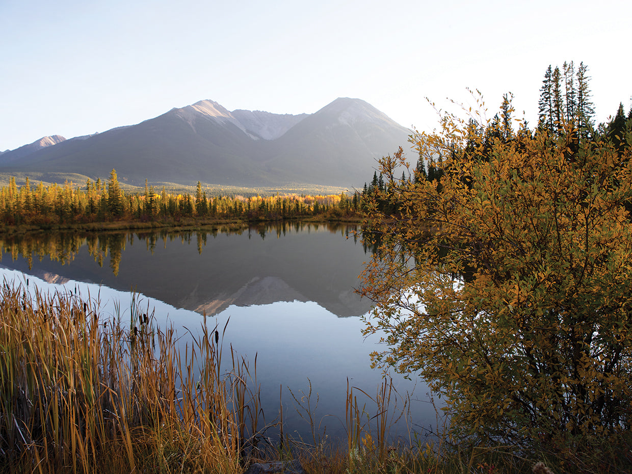 Low Light on Vermillion