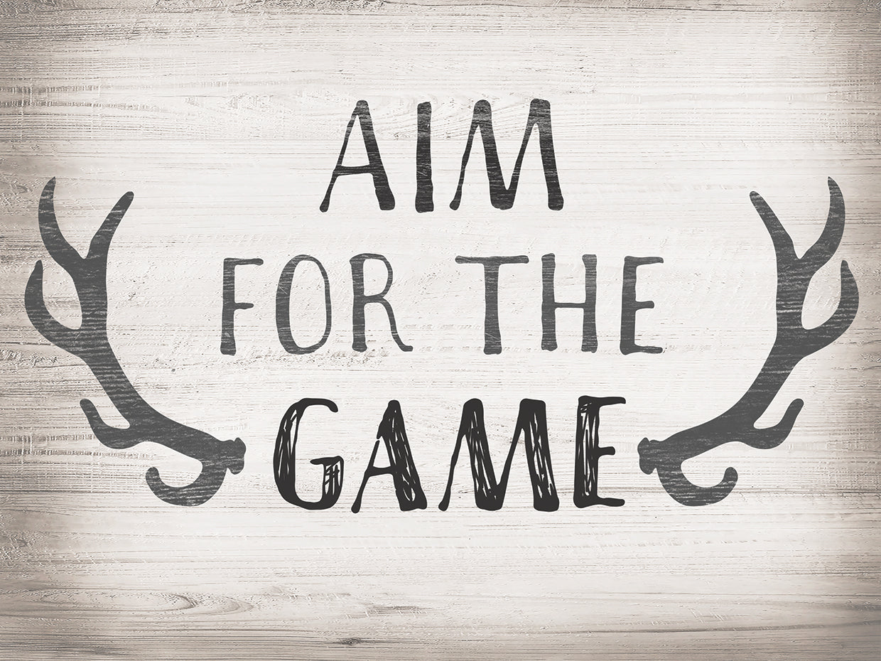 Aim Game