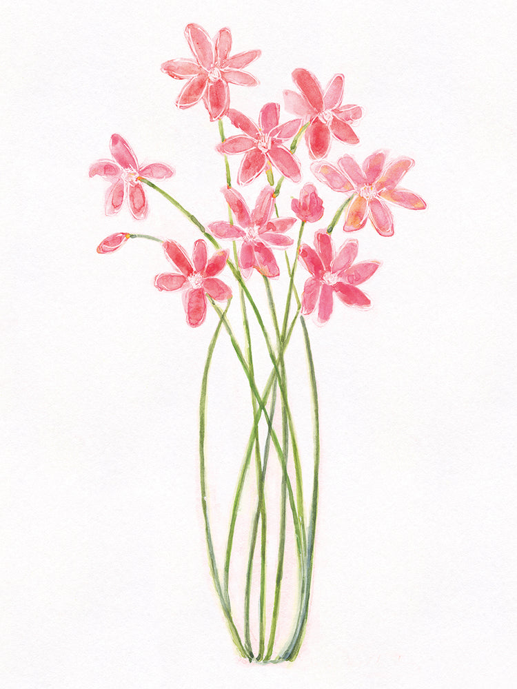 Intertwined Bouquet II