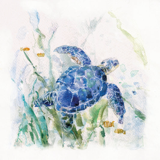 Turtle Cove I Canvas Print
