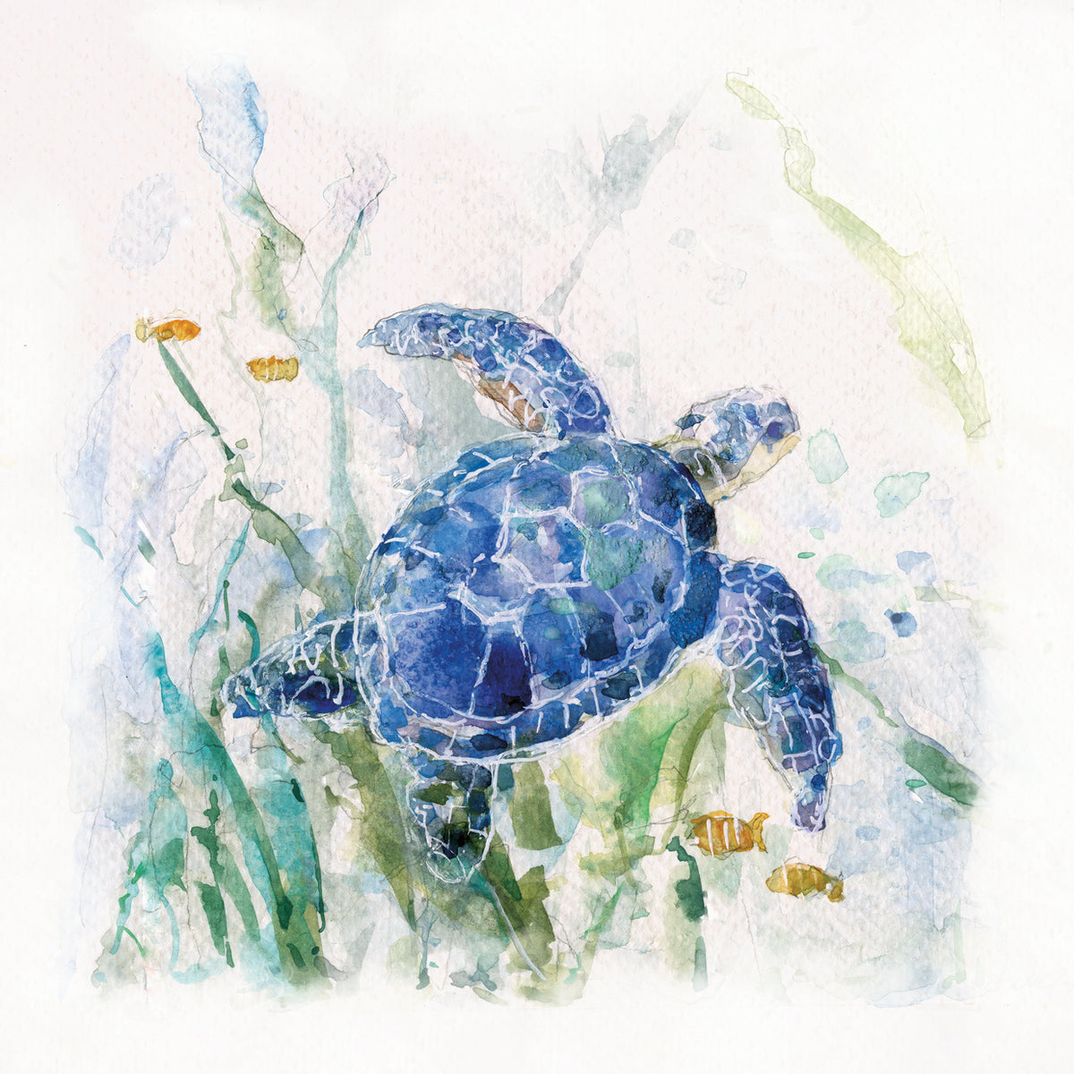Turtle Cove I