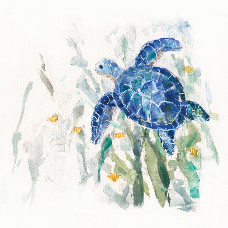Tortuga Cove II Lienzo