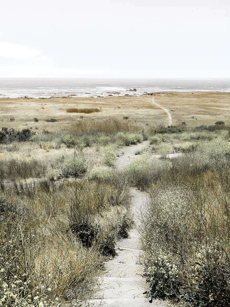 Footpath to Paradise