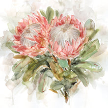 Pale Protea I