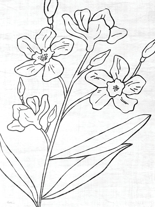Botanical Sketch I Canvas Print