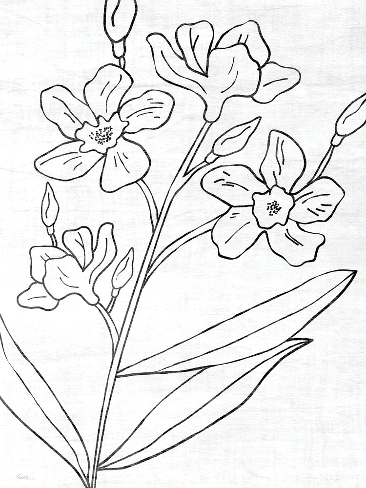Botanical Sketch I