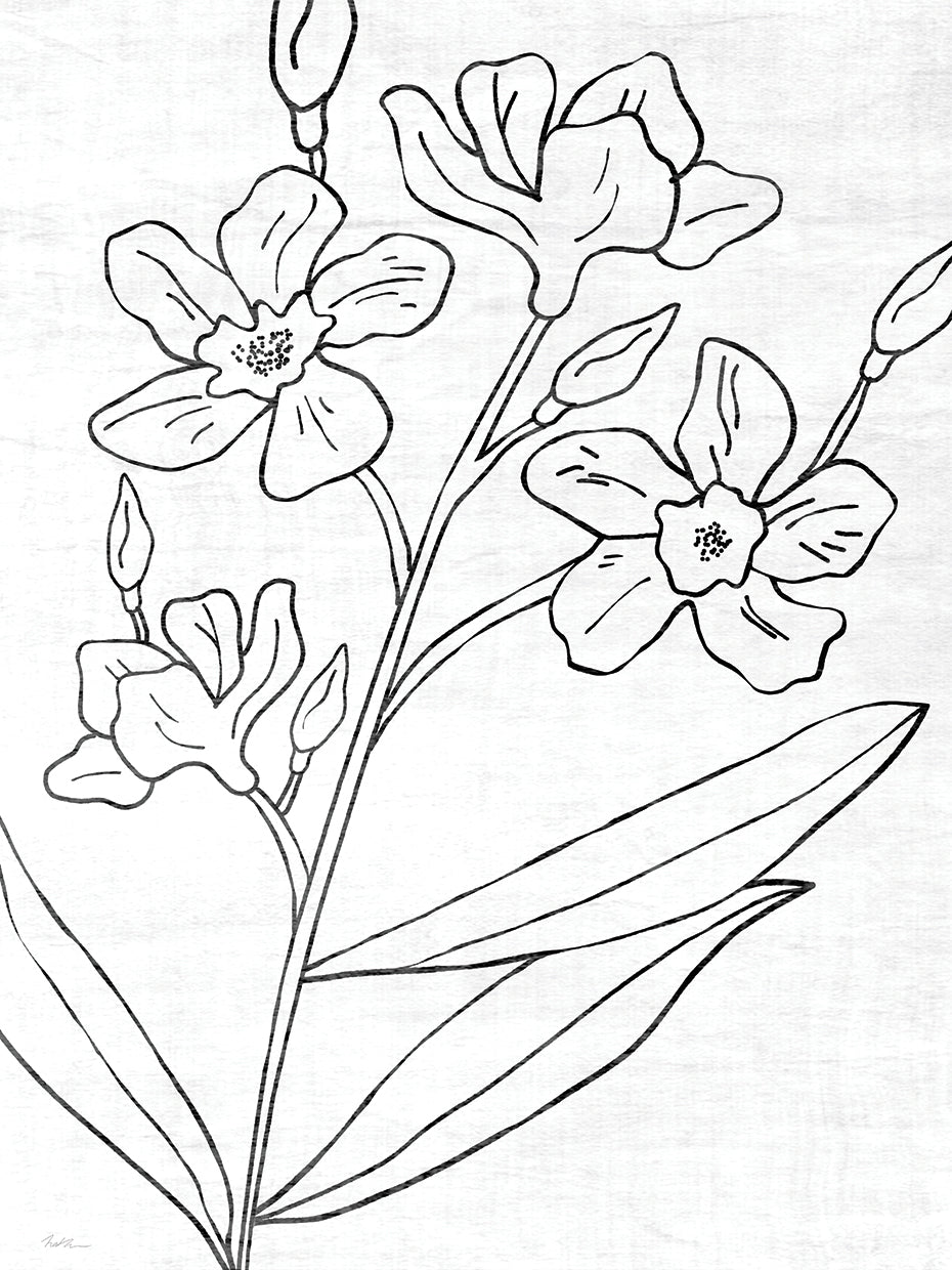 Botanical Sketch I