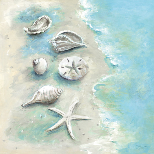 Beach Shells I Canvas Print