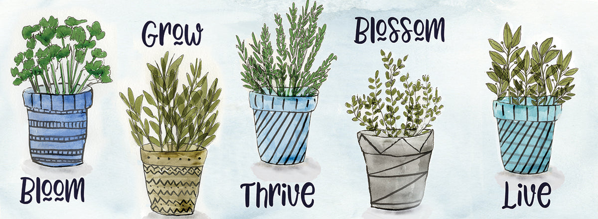 Potted Inspirations
