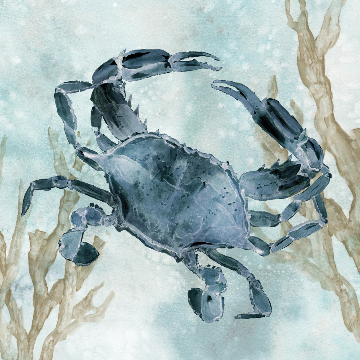 Navy Crab