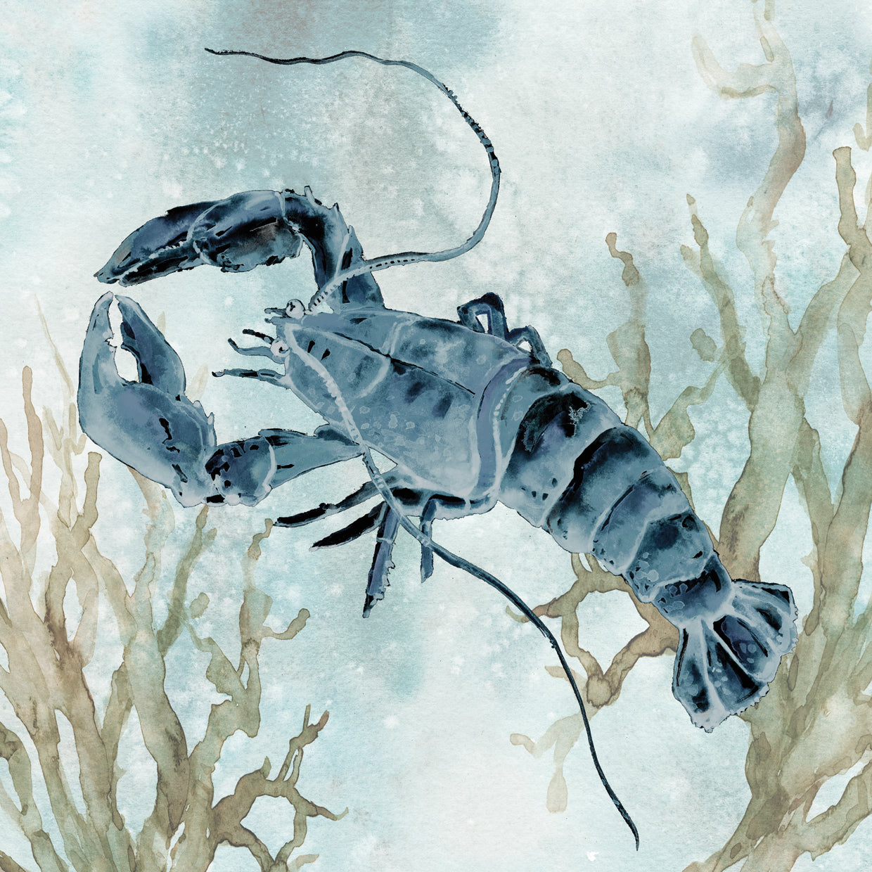 Navy Lobster