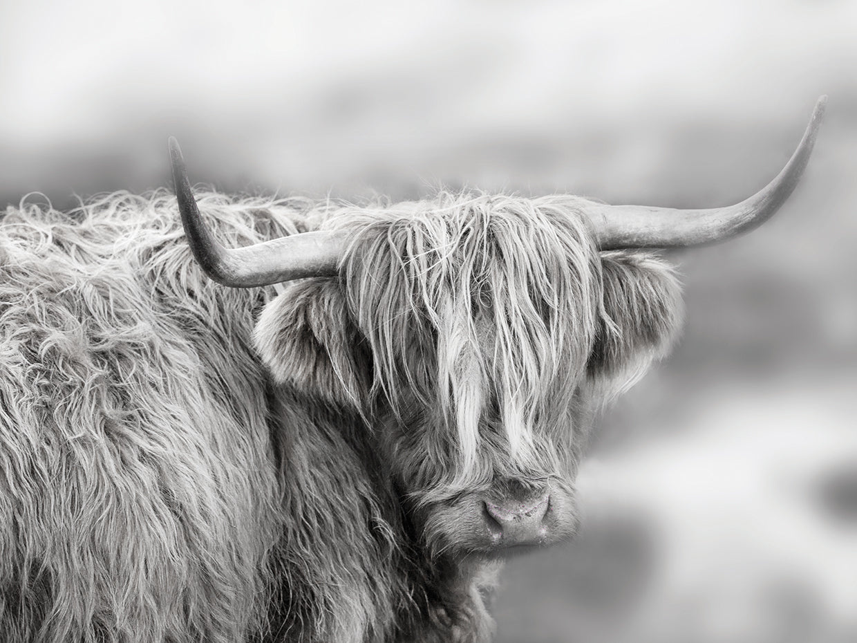 Roaming Isle of Skye