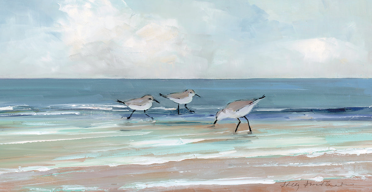 Shore Searching I