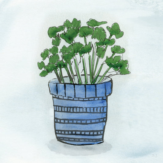 Pot of Herbs I Canvas Print
