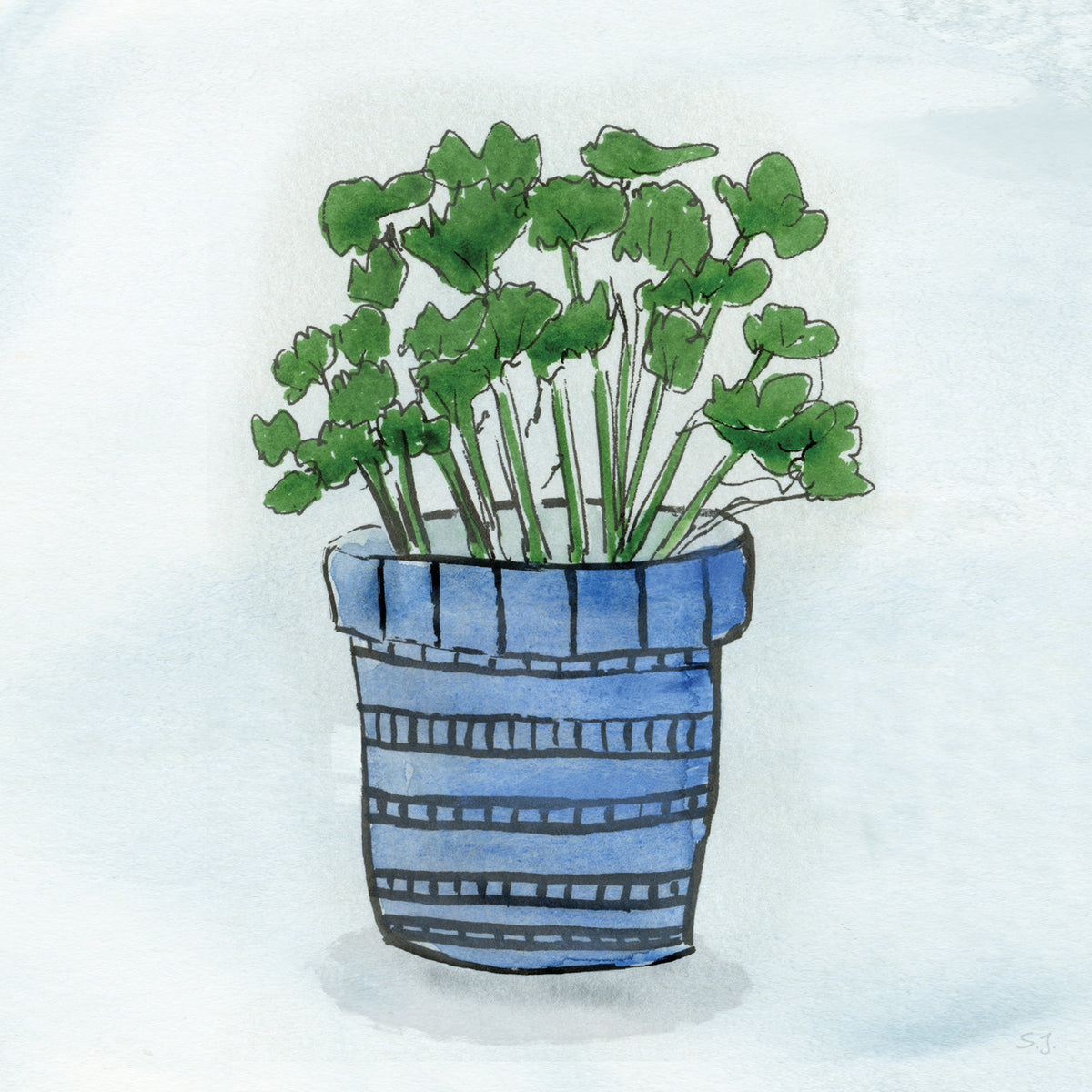 Pot of Herbs I