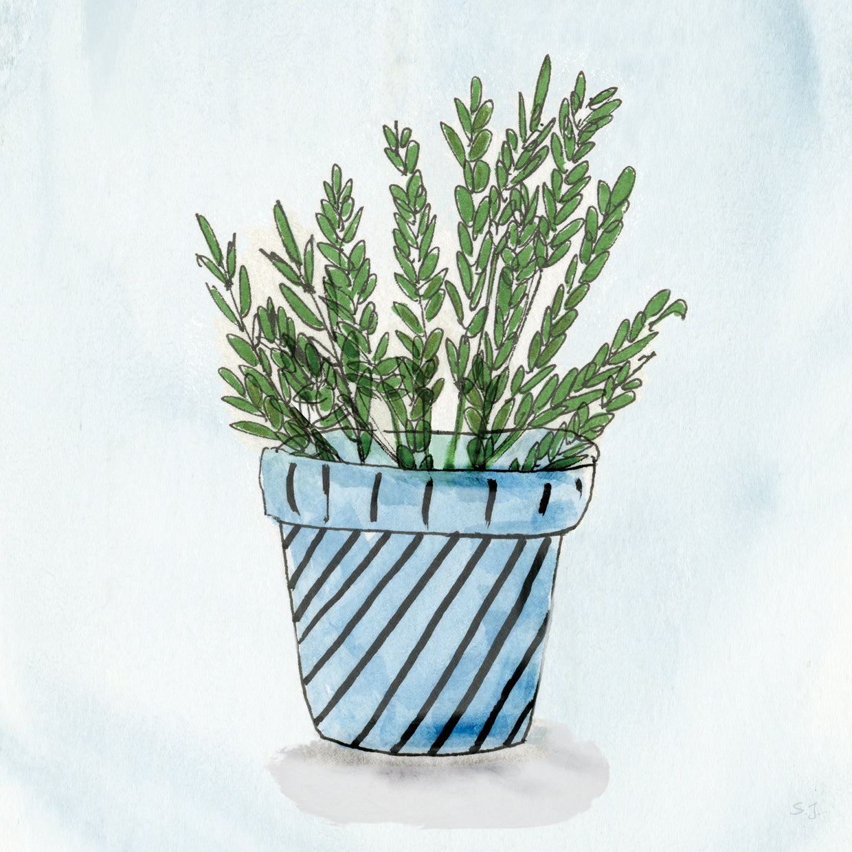 Pot of Herbs II