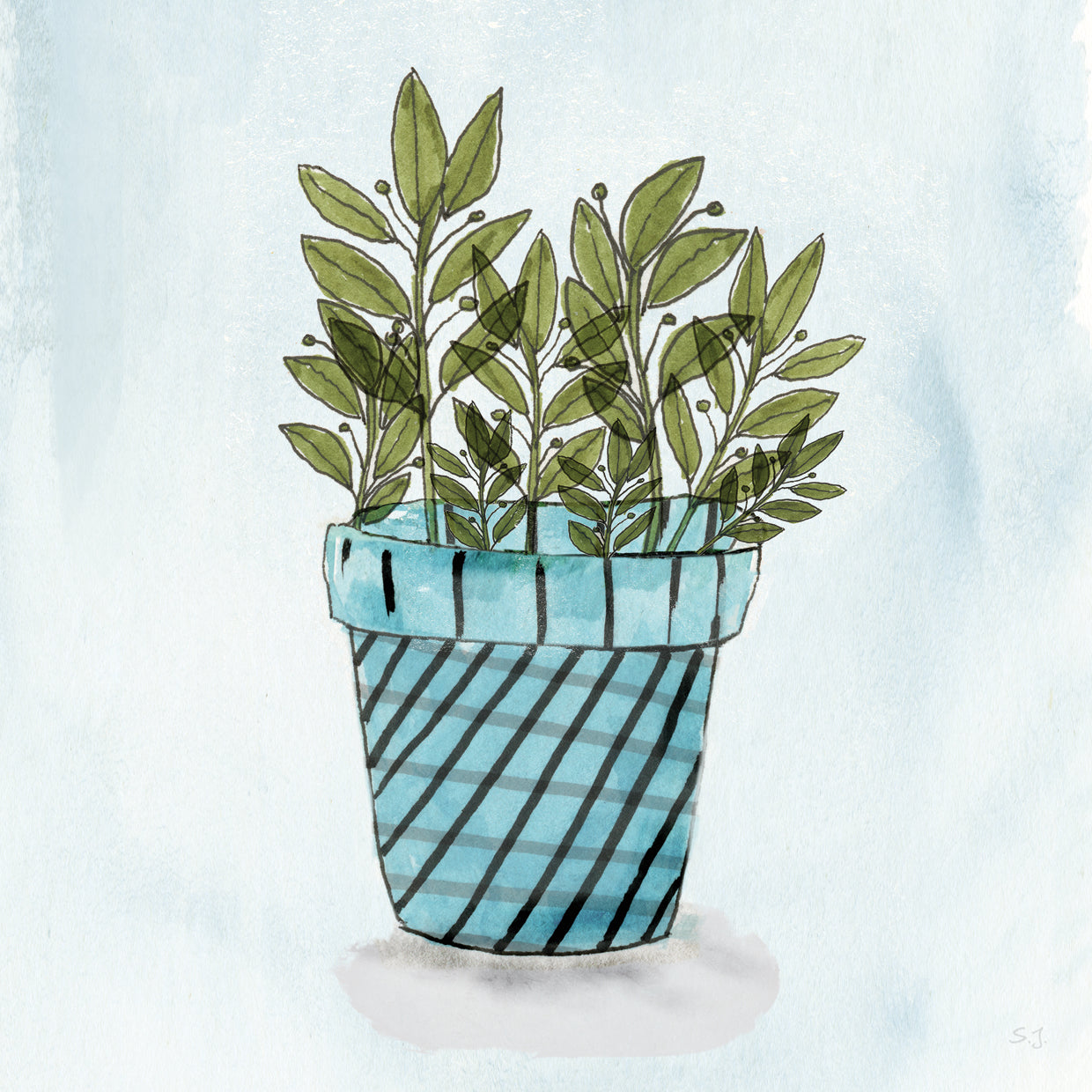 Pot of Herbs IV