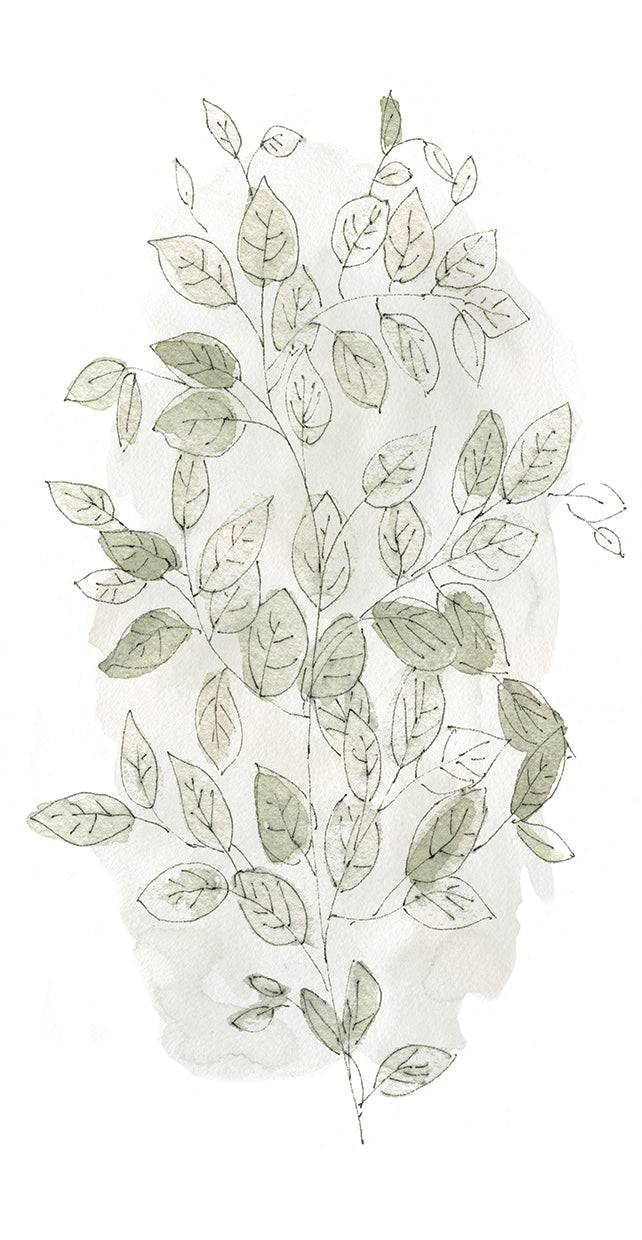 Botanicals Skecthbook Leafy Branch I