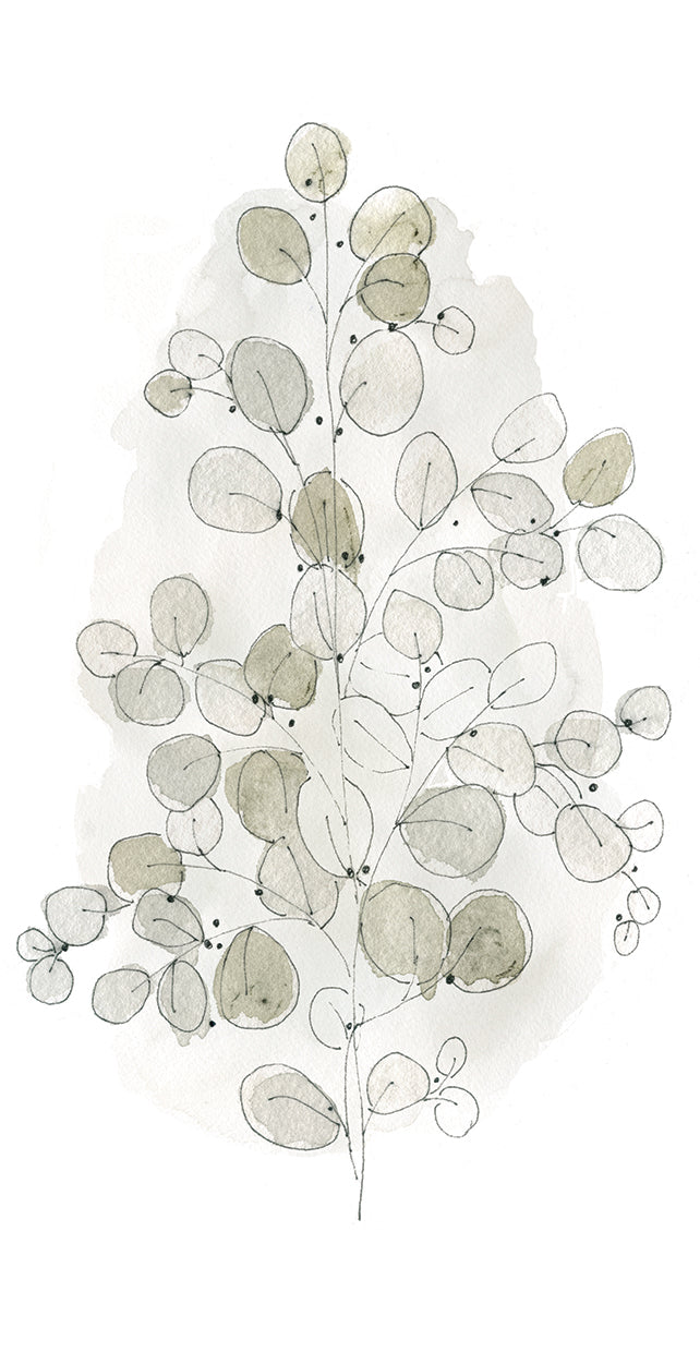 Botanicals Skecthbook Leafy Branch II