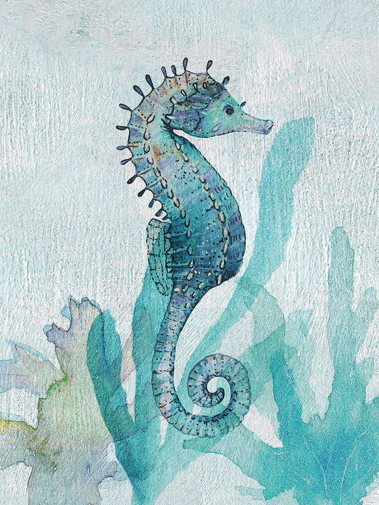 Seahorse I