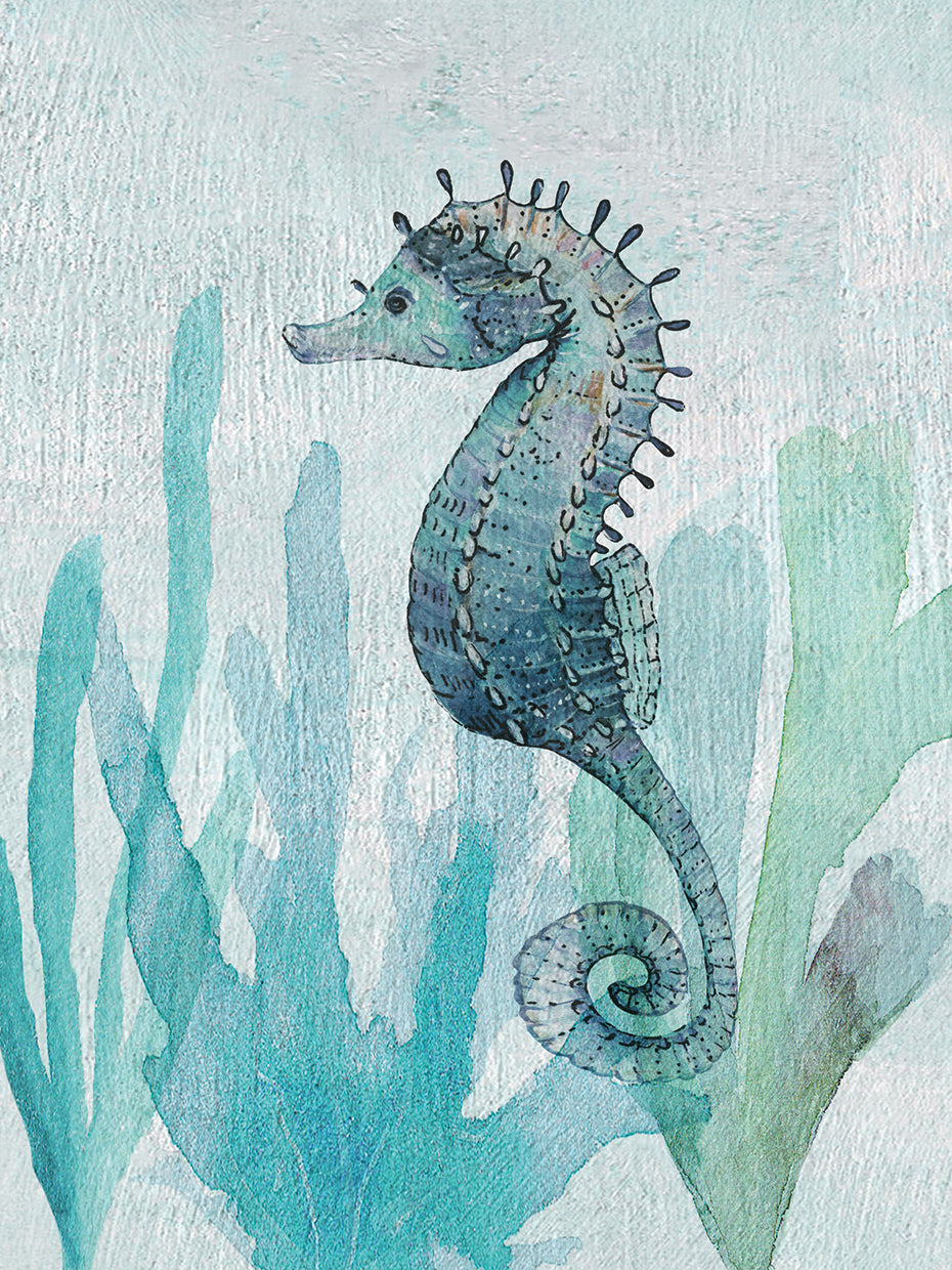 Seahorse II