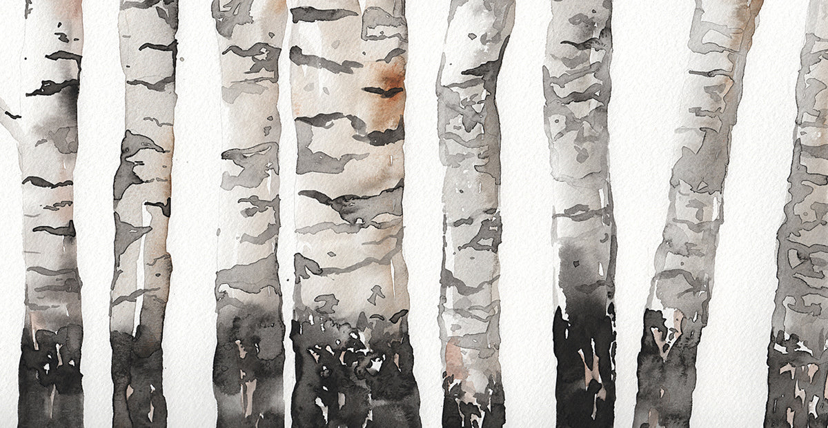 Birchtrees