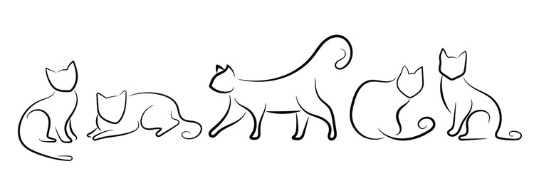 Abstract Cats