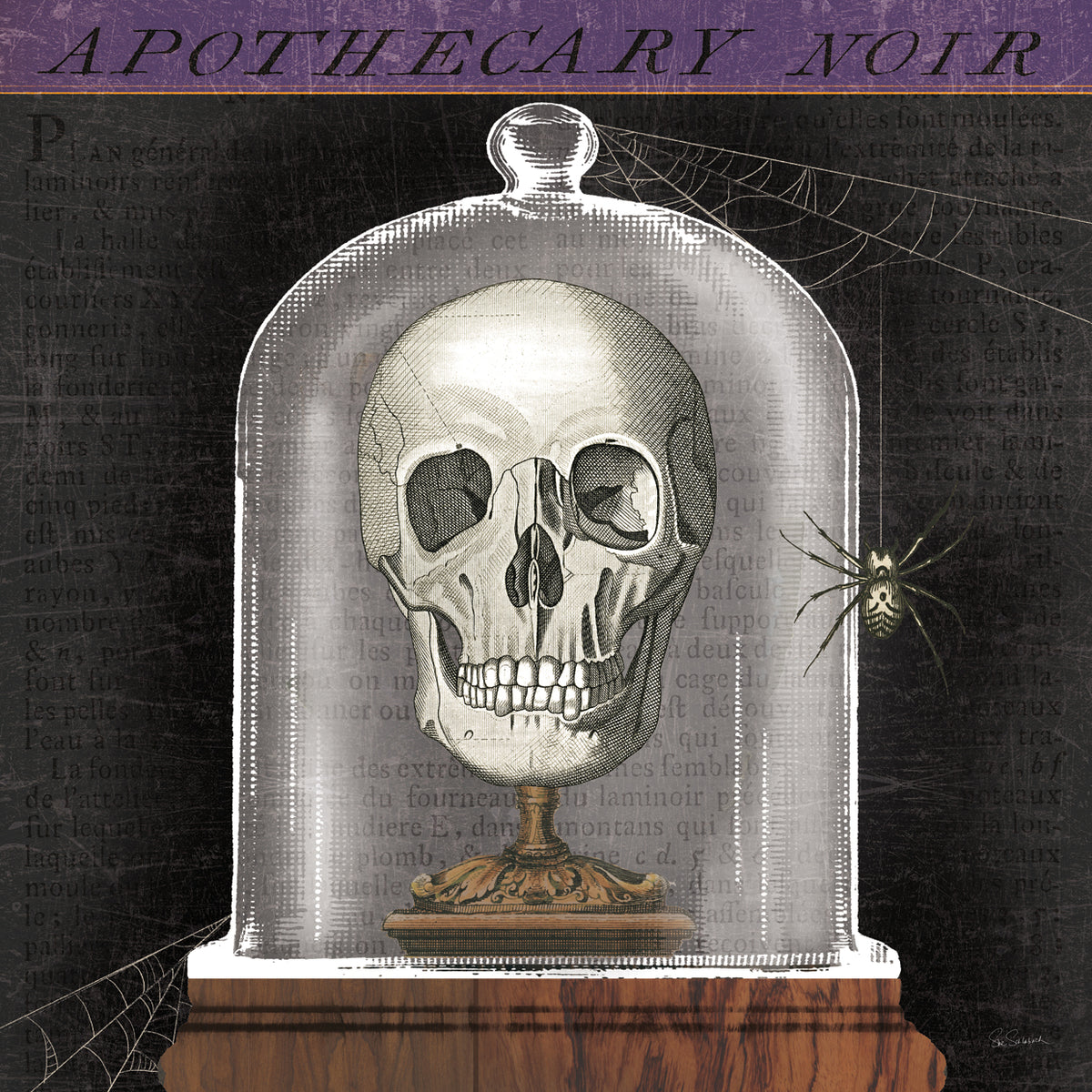 Apothecary Noir III