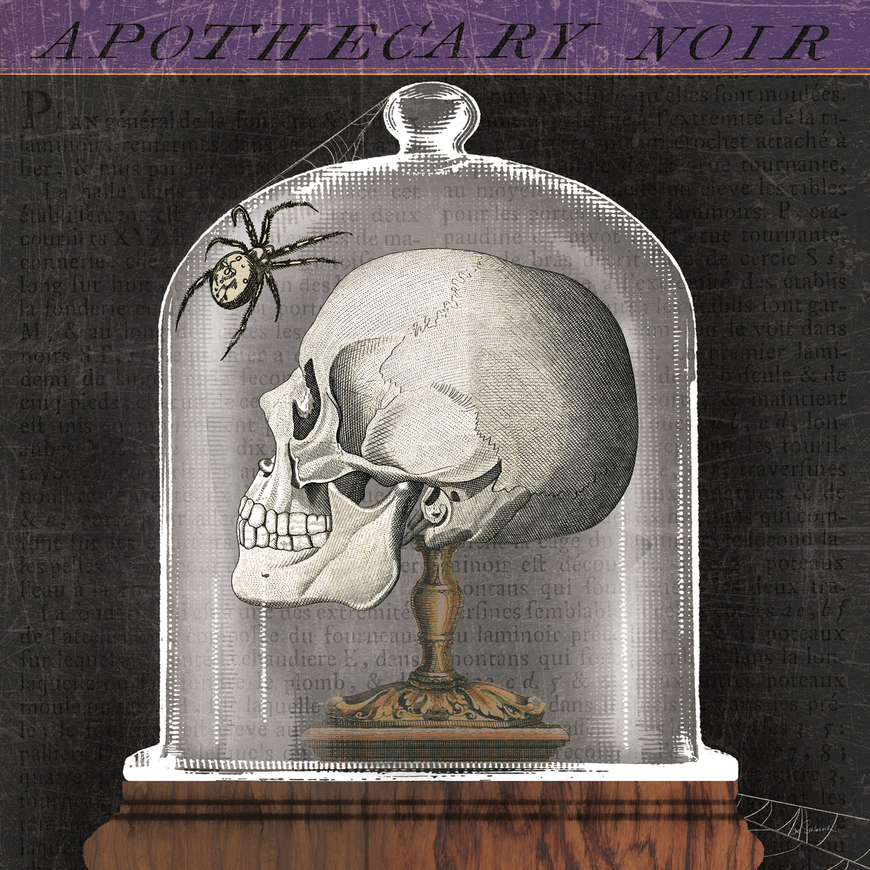 Apothecary Noir II