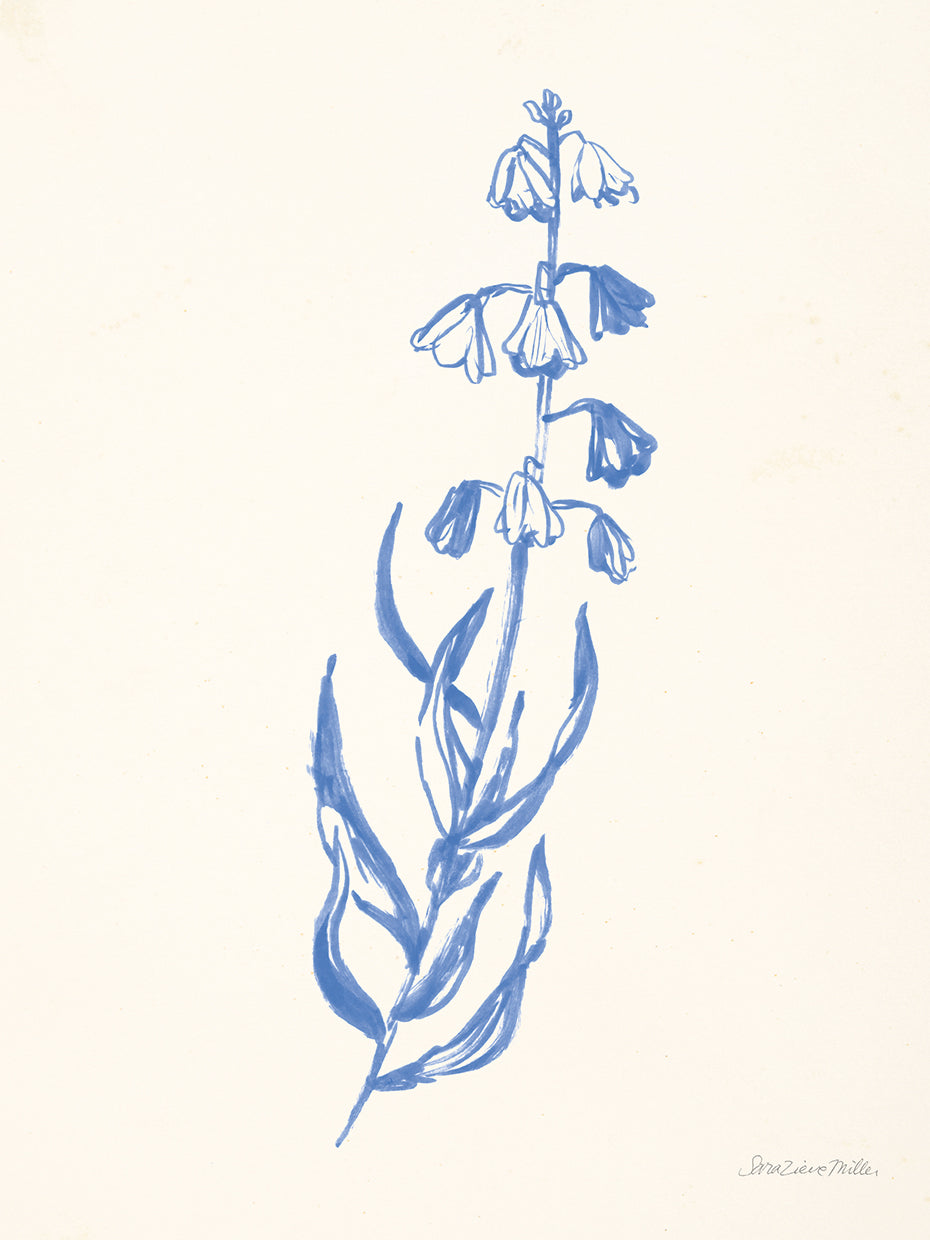 Bluebells II