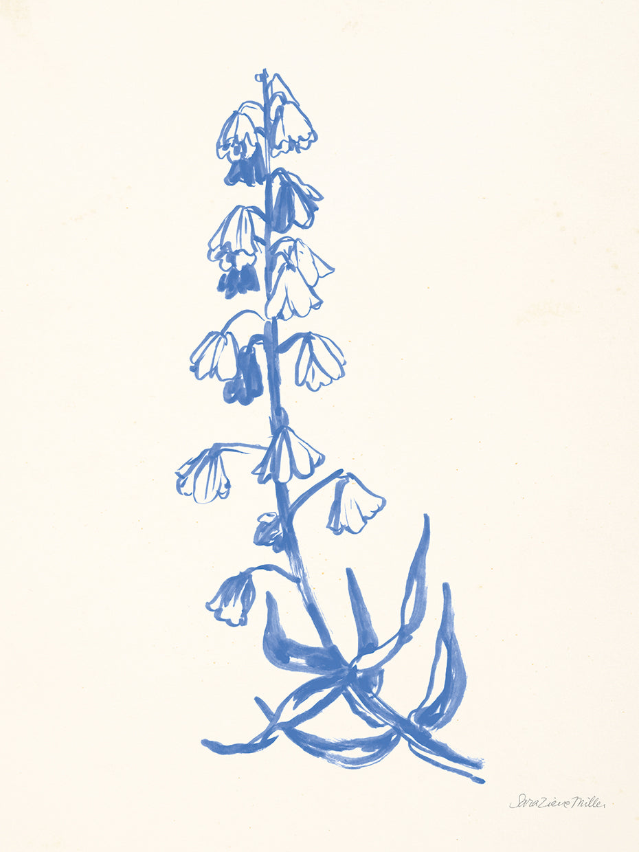 Bluebells I