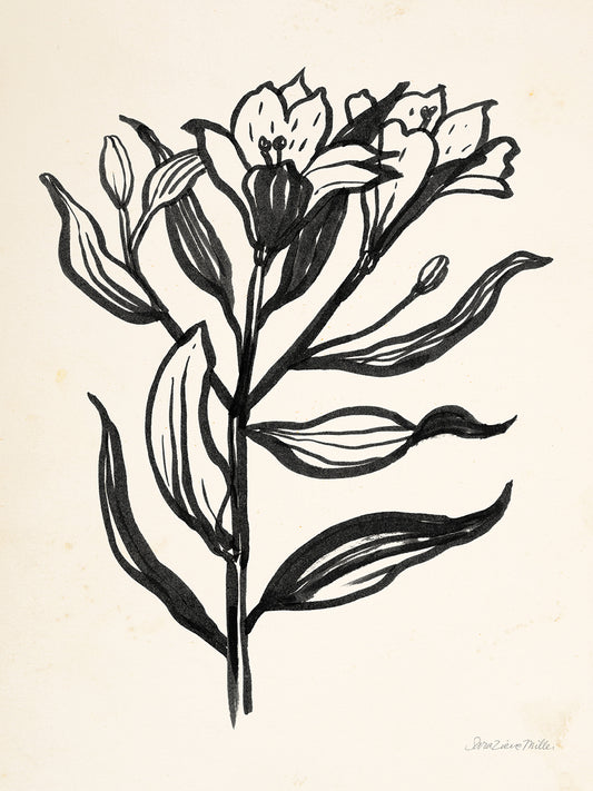 Ink Flower I Cream Canvas Print