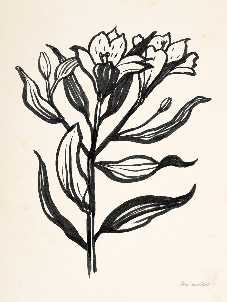 Ink Flower I Cream