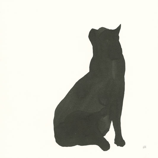 Black Cat II Canvas Print